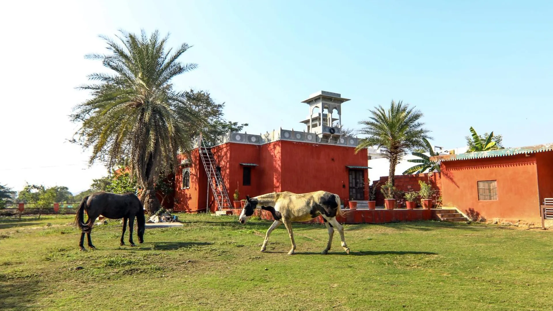 Boheda Villa, Udaipur Hotel